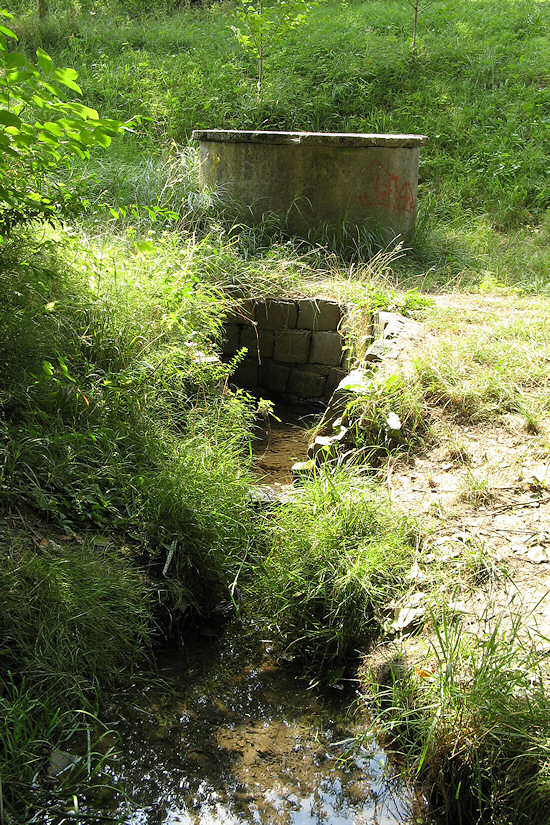 Studánka ve Žlibku (3970) - září 2010