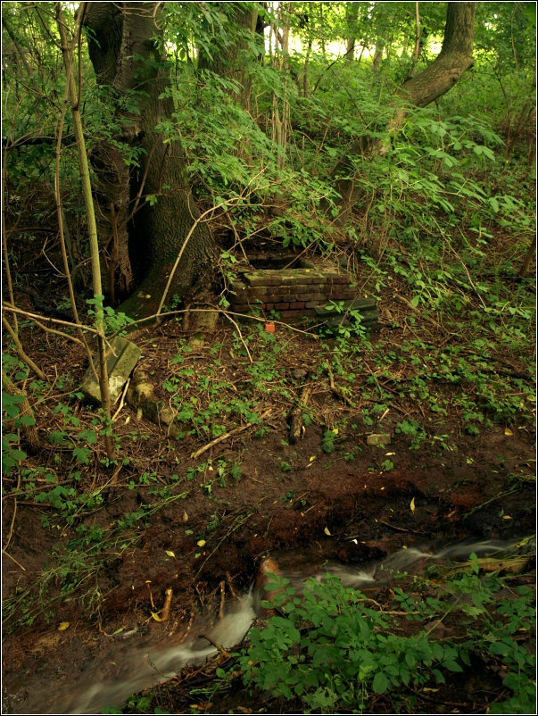 studánka Pod Ovčárnou (3984) - září 2010