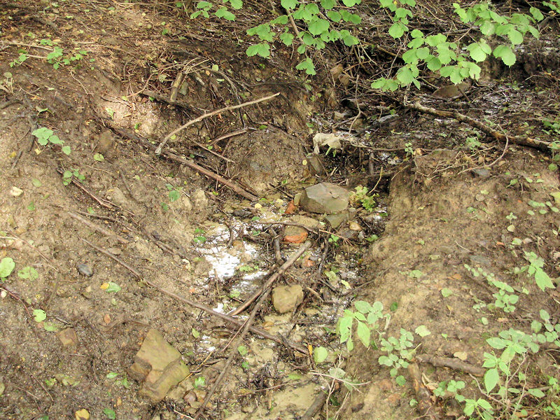 prameniště bez jména (3999) - září 2010