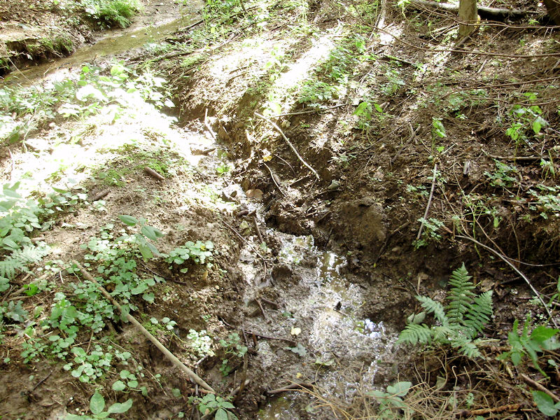 pramen bez jména (4028) - září 2010