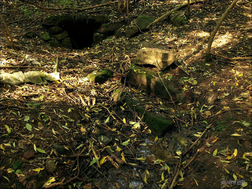 studánka Dělouš (4037) - září 2010