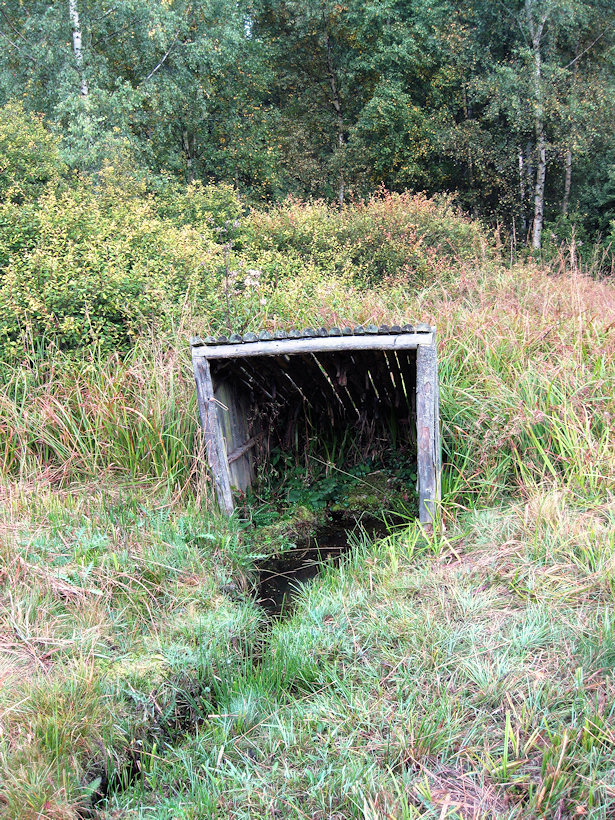 Luční pramen (4039) - září 2010