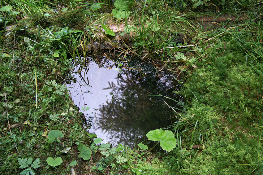 Tobolova studánka (4045) - září 2010