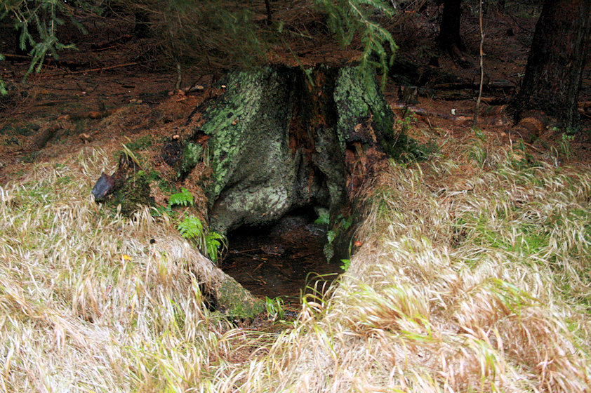pramen Hloučely druhý (4057) - říjen 2010