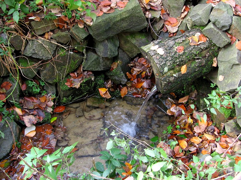 pramen Hradečná (4073) - říjen 2010