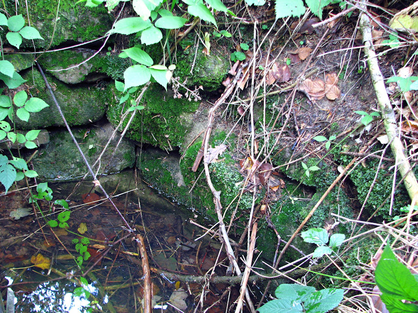 studna Rožnovjačka (4077) - říjen 2010