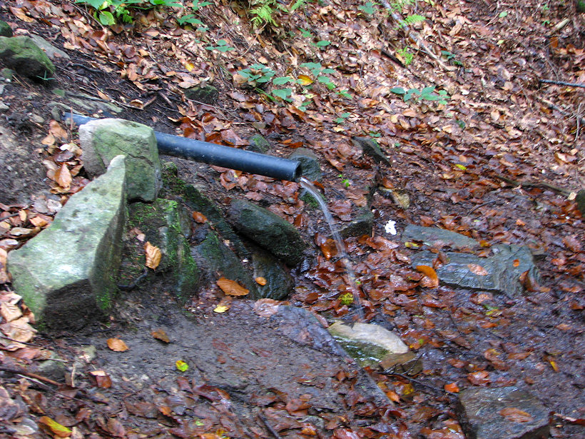 studánka Pod Jelení loukou (4078) - říjen 2010