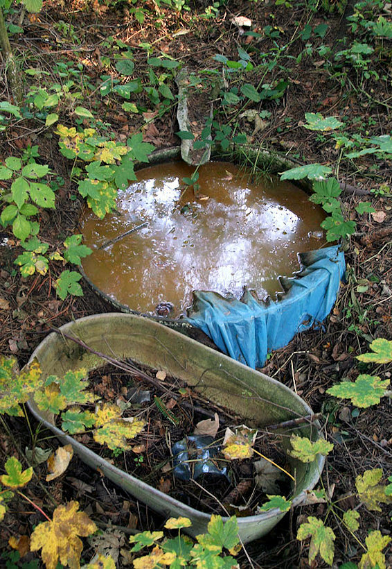 Ovčí pramen (4093) - říjen 2010