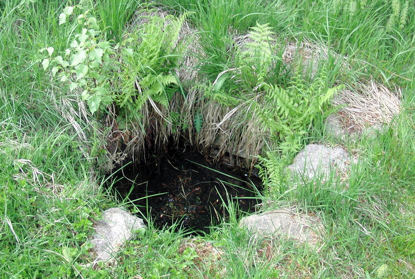 studánka bez jména (4096) - říjen 2010