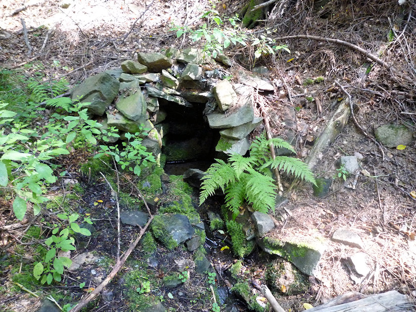 studánka U sv. Antoníčka (4123) - datum neznámé