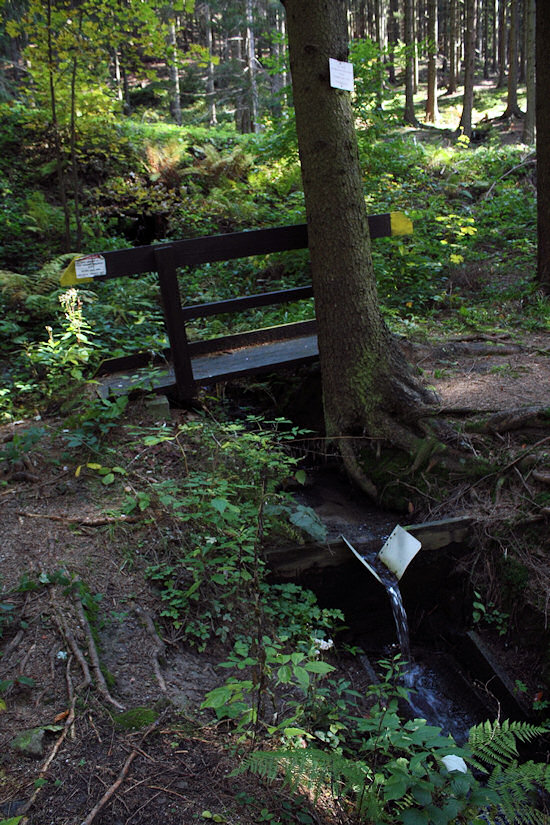 studánka Ve škaredici (4130) - říjen 2010