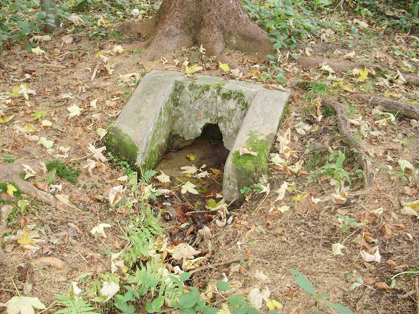 studánka bez jména (4135) - říjen 2010