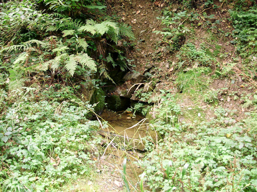 studánka V Koutech (4139) - říjen 2010