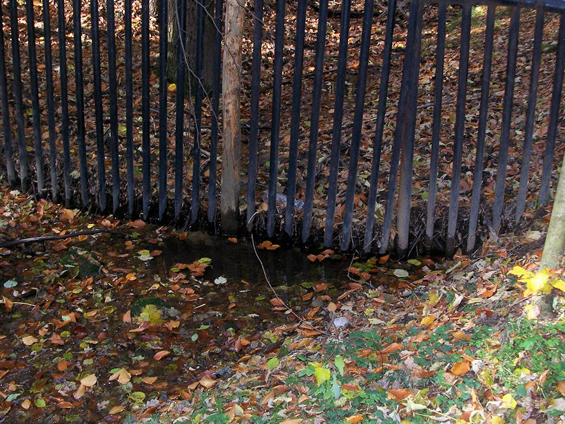 prameniště U plotu (4153) - říjen 2010