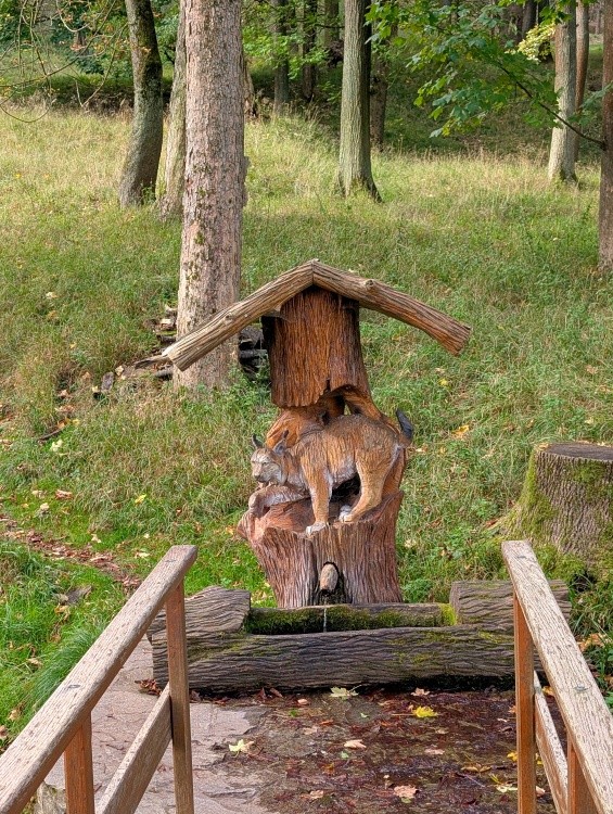 jiný vodní zdroj Rysí studánka (4154) - říjen 2025