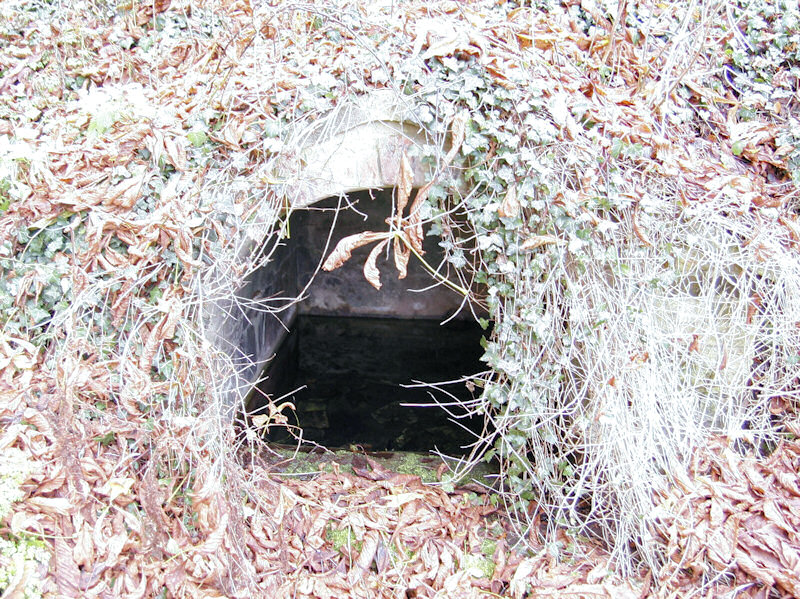 studánka bez jména (4157) - říjen 2010