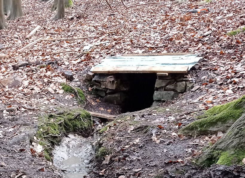 studánka Nad chatami (4162) - březen 2021