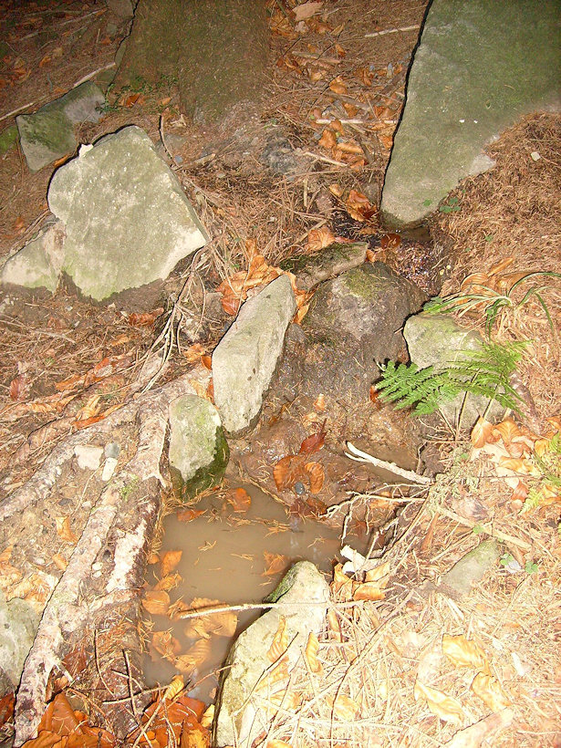 studánka Tůňka (4172) - listopad 2010