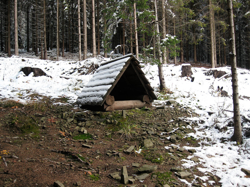 studánka Zadní Nytrová (4188) - listopad 2010