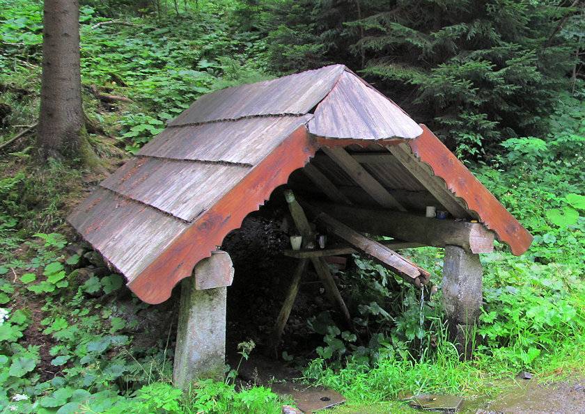 studánka Stýskalonka (4207) - červenec 2021