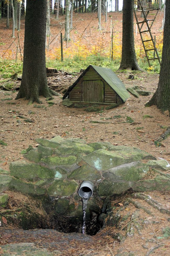 studánka U Ivanin (4210) - listopad 2010