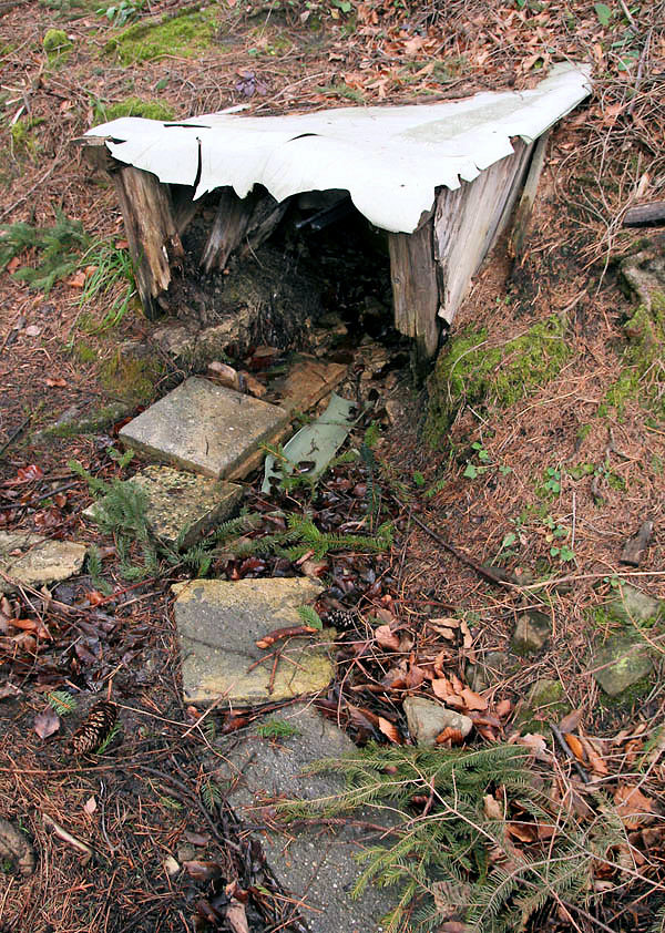 Chatařská studánka I (4228) - listopad 2010