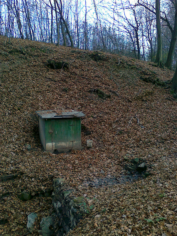 studánka Krásná (4257) - listopad 2010
