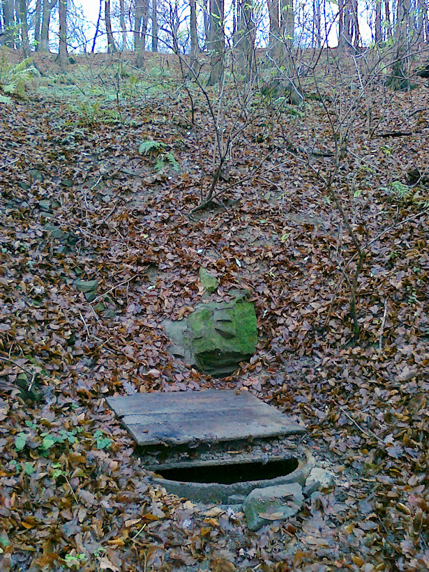 studánka Pomezí (4258) - listopad 2010