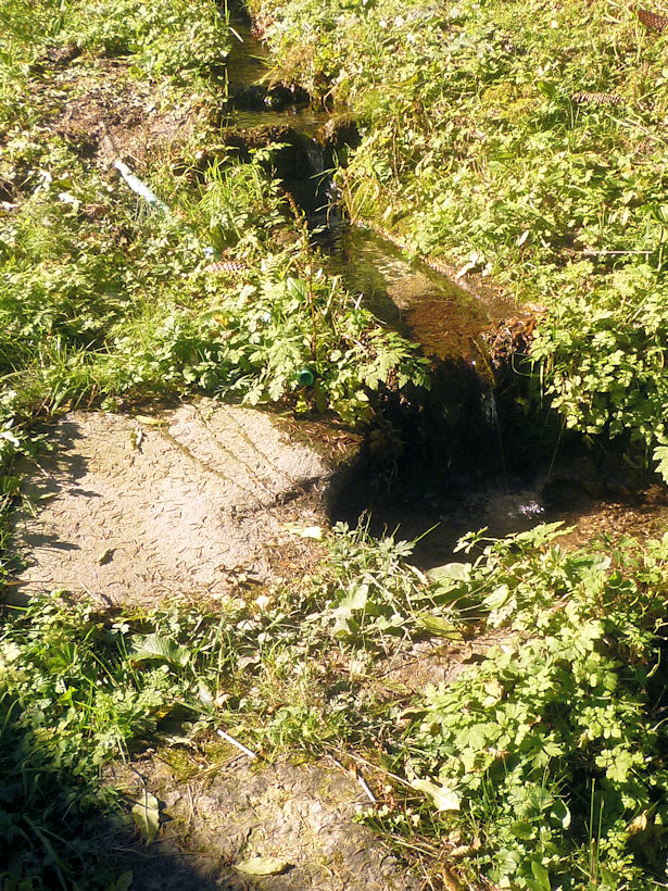 studánka Pod Plání (4266) - prosinec 2010