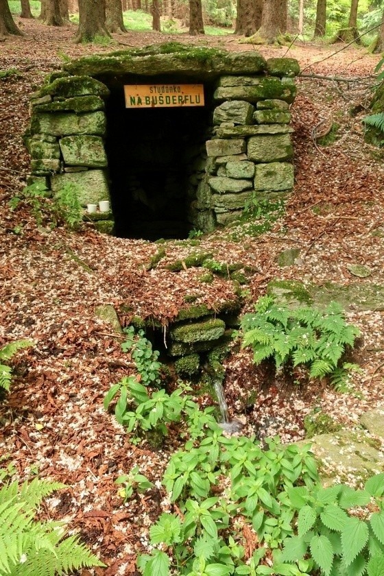 studánka Na Bušderflu (4267) - červen 2023