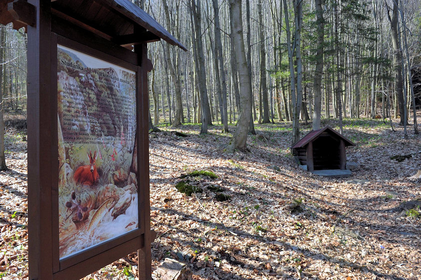 Studánka u Vetřkovského mostku (4271) - prosinec 2010