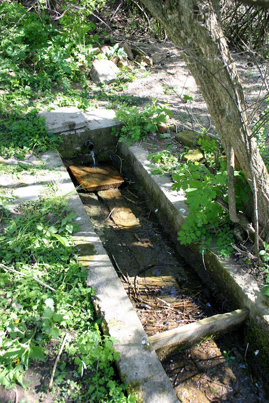 Studánka U Myslivny (4284) - prosinec 2010