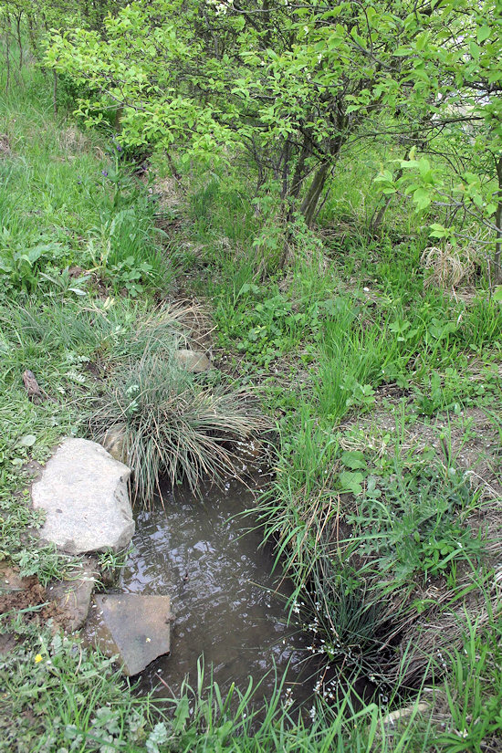 Studánka Vinohrady (4285) - prosinec 2010