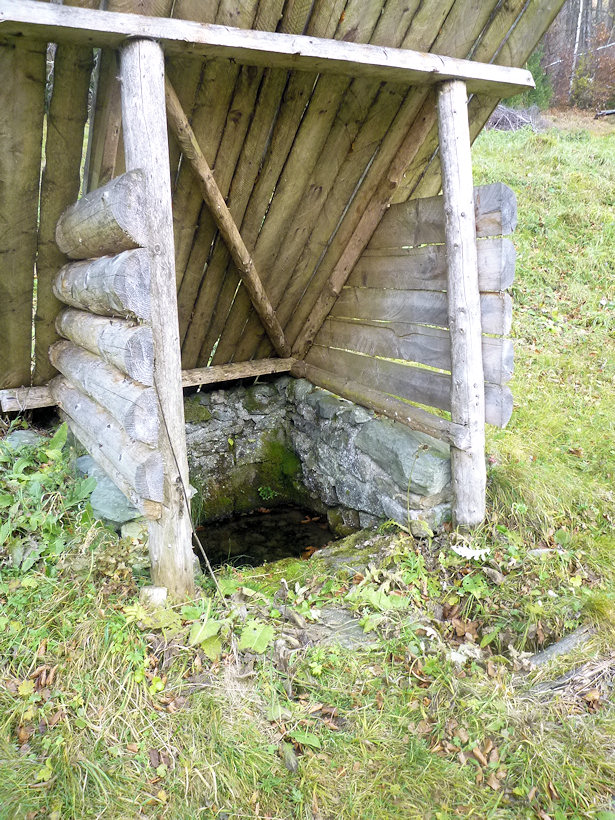 studánka Pod Vlčí horou (4291) - leden 2011