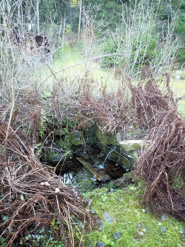 studánka bez jména (4294) - leden 2011