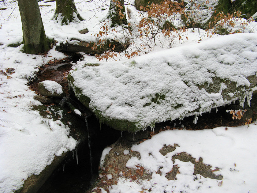 studánka Pod Bublavou skálou (4306) - leden 2011