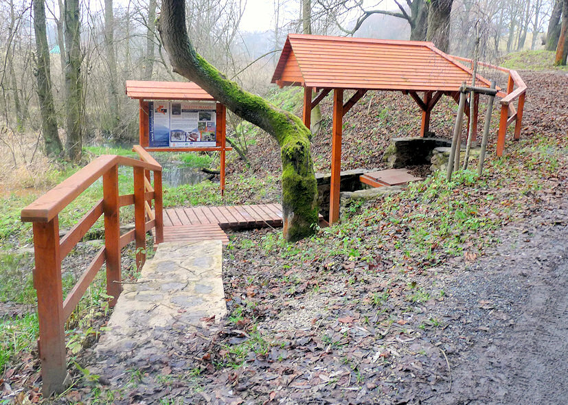 Železitý pramen (4308) - leden 2011