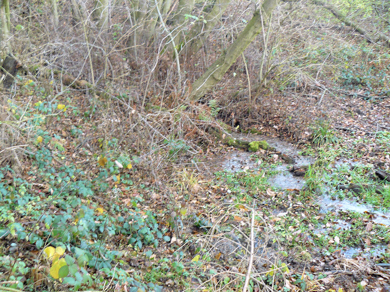 Kopřivová studánka (4309) - leden 2011