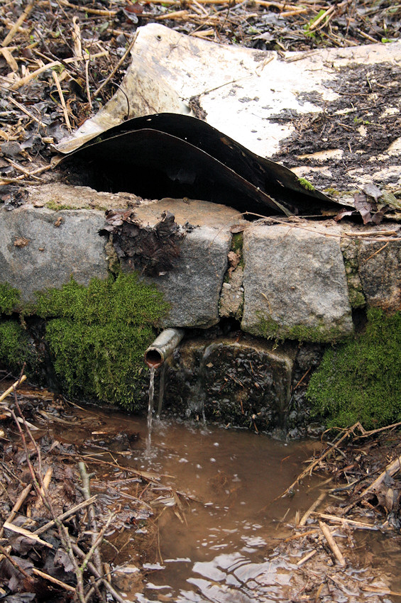 Vojtěchova studánka (4326) - leden 2011