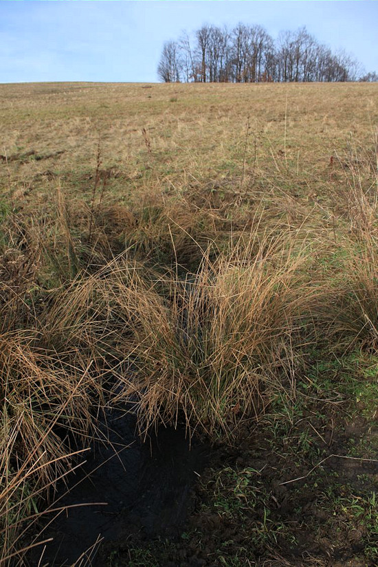 prameniště Pod Závrším (4331) - leden 2011