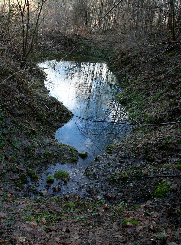 pramen Pod Macháčky (4336) - leden 2011