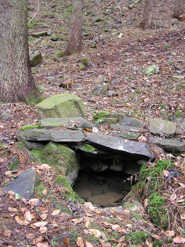 Lesní studánka (4348) - leden 2011