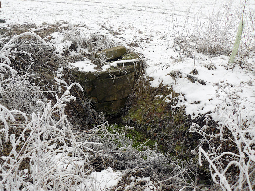 studánka bez jména (4366) - únor 2011