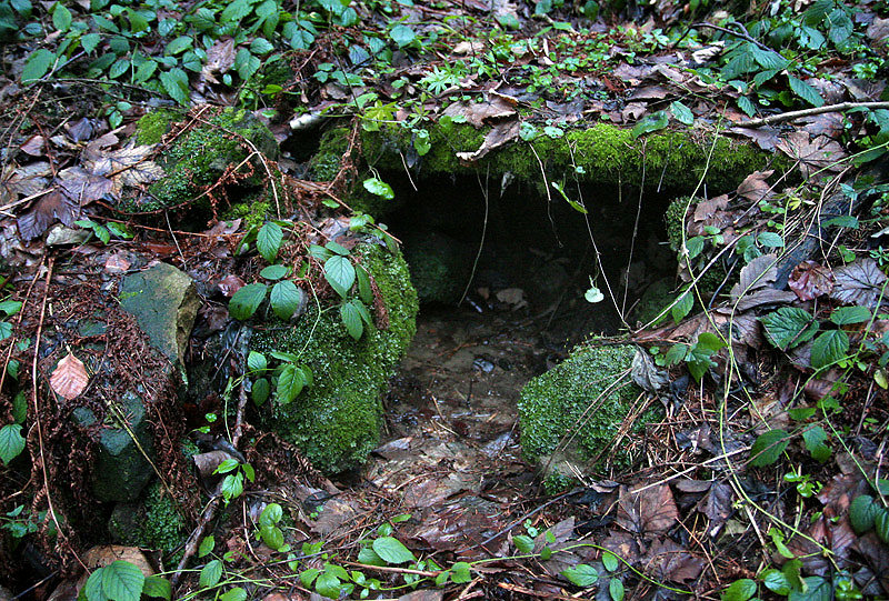 Masarykova studánka (4369) - únor 2011