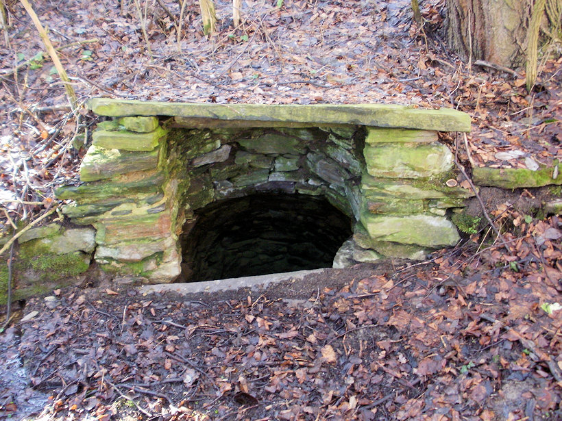 studánka bez jména (4370) - únor 2011