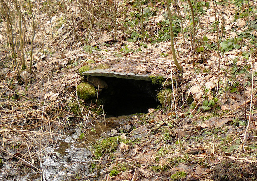 Wilhelmova studánka (4373) - únor 2011