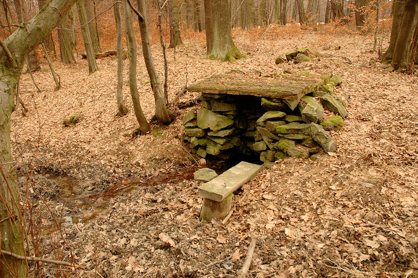 Studánka v Myslivcově žlebu 1 (4381) - únor 2011