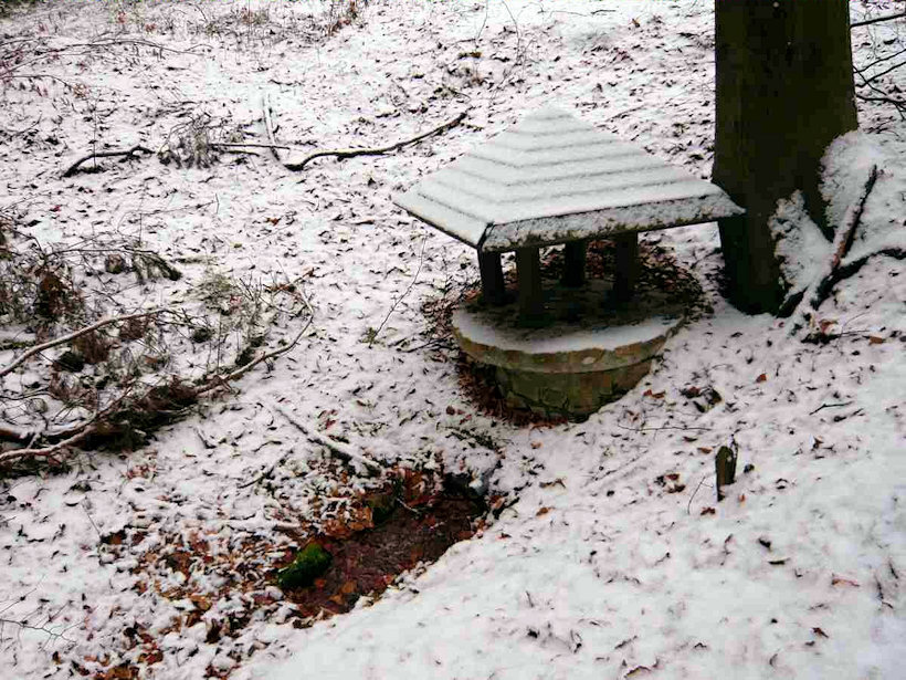 studánka Na Javornické hůře (4383) - únor 2011
