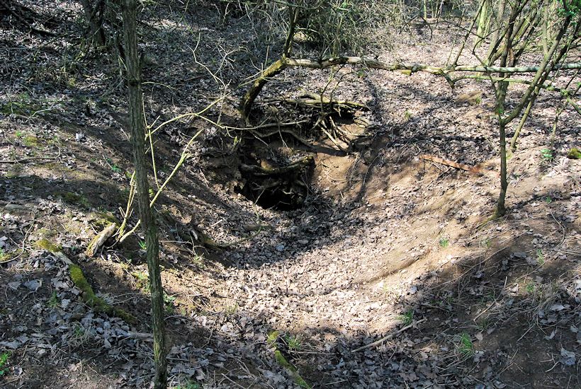 studánka U Vrby (4388) - datum neznámé
