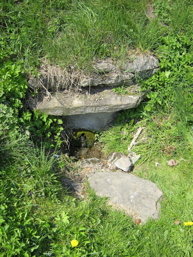 studánka Na Hřišti (4405) - únor 2011